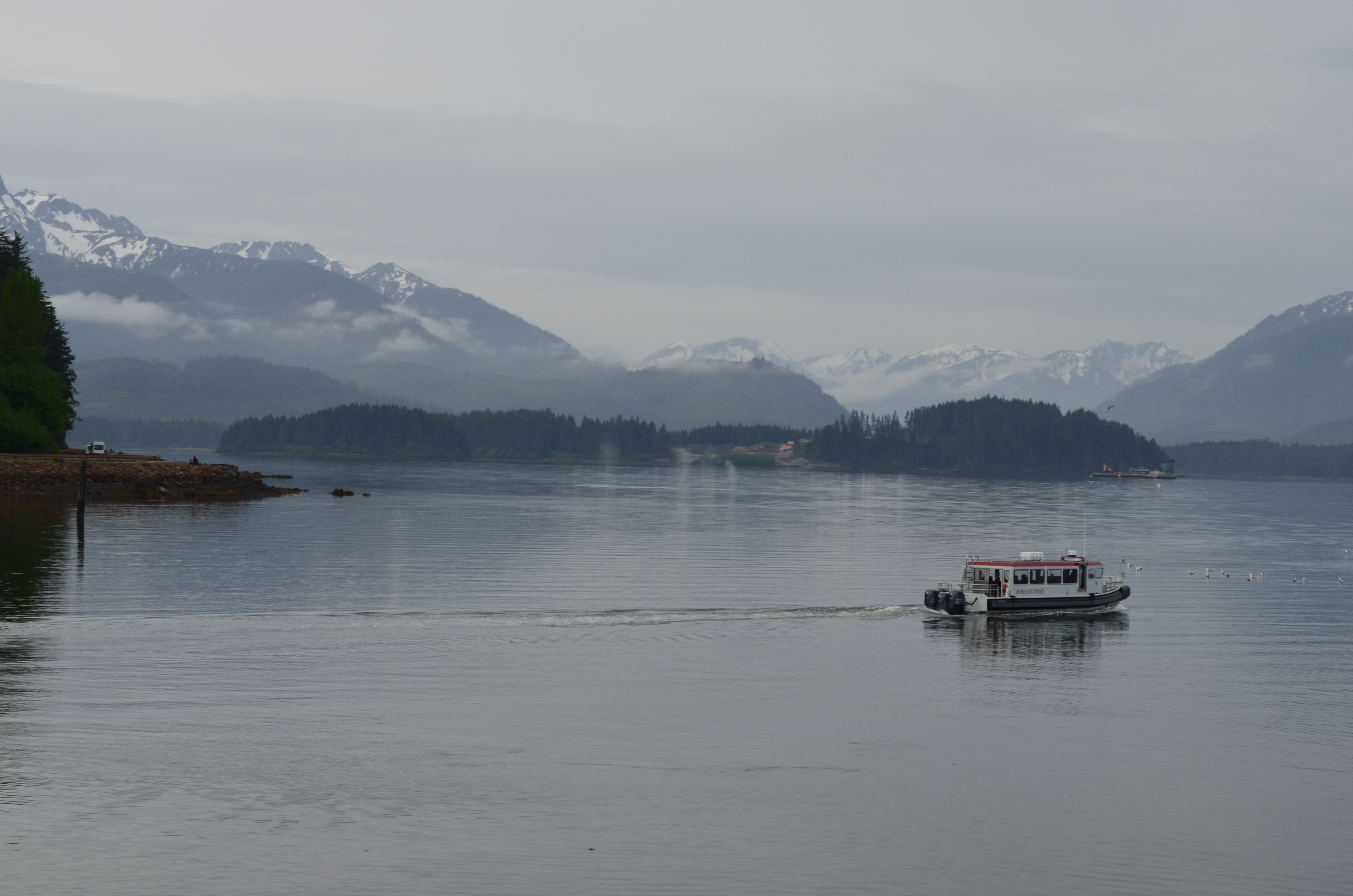 ./2017/08 - Alaska Cruise/10 - Icy Strait Point/DSC_0242.JPG